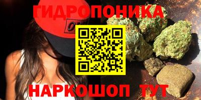 индика Абинск