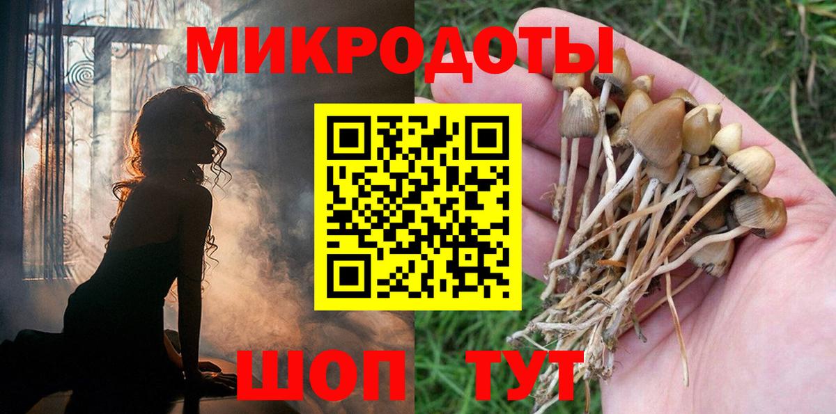 Абинск  Галлюциногенные грибы GOLDEN TEACHER  Вход с VPN 