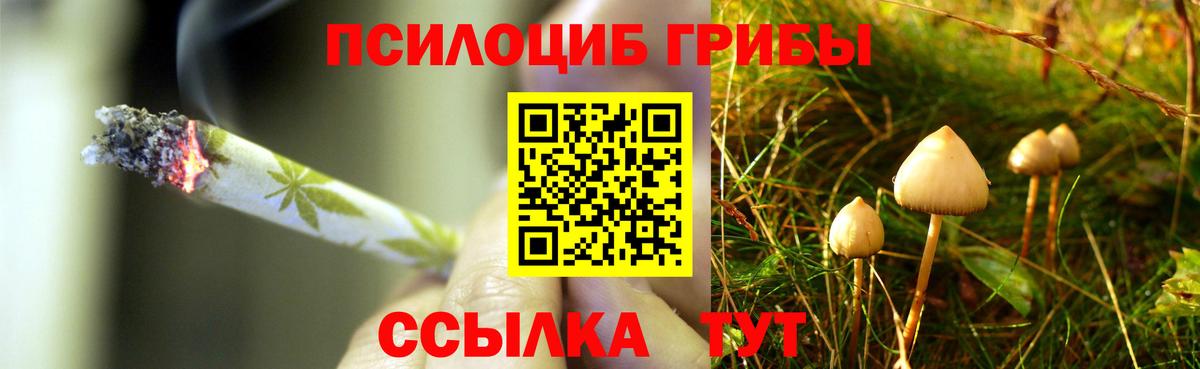 Псилоцибиновые грибы MAGIC MUSHROOMS Абинск